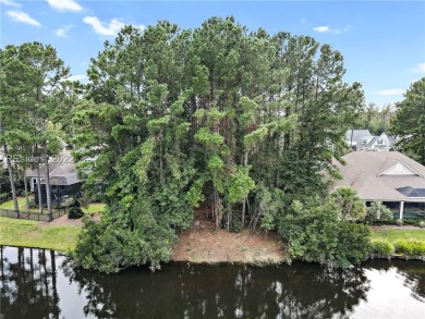 Incredible Water to Nature Preserve homesite in Hampton Lake on Hampton Hall Club in South Carolina - for sale on GolfHomes.com, golf home, golf lot