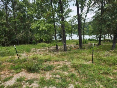 Diamond Lake front lot with stunning views. Already passed a on The Course At Turkey Mountain in Arkansas - for sale on GolfHomes.com, golf home, golf lot