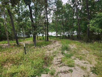 Diamond Lake front lot with stunning views. Already passed a on The Course At Turkey Mountain in Arkansas - for sale on GolfHomes.com, golf home, golf lot