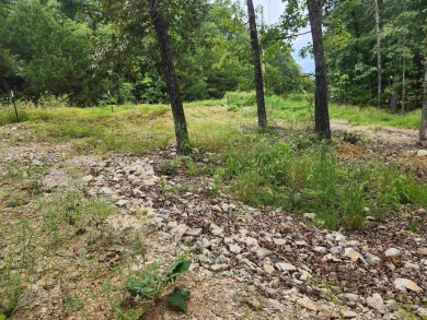 Diamond Lake front lot with stunning views. Already passed a on The Course At Turkey Mountain in Arkansas - for sale on GolfHomes.com, golf home, golf lot