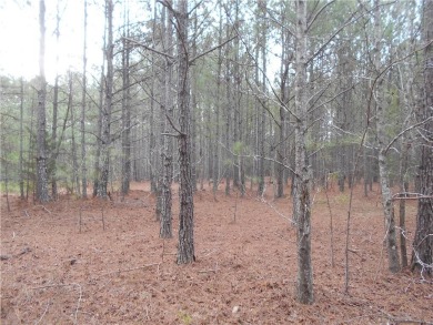 +/- 23 ACRES, South Sharon Church Rd, Loganville, Ga (Portion of on Cedar Lake Golf Club in Georgia - for sale on GolfHomes.com, golf home, golf lot