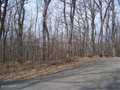 We are selling these 2 side by side lots together in the on Pezhekee National Golf Course in Minnesota - for sale on GolfHomes.com, golf home, golf lot