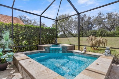 Dream of a beautiful Carefree Home with a custom Saltwater on Skyview At Terra Vista Golf and Country Club in Florida - for sale on GolfHomes.com, golf home, golf lot