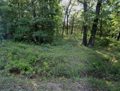 South Fork River Lots!! Two buildable lots in beautiful Cherokee on Cherokee Village North Course in Arkansas - for sale on GolfHomes.com, golf home, golf lot