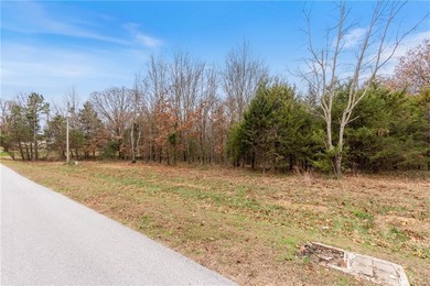 This is the place to build your next home. From the proximity of on Bella Vista - Metfield Golf Complex and Country Club in Arkansas - for sale on GolfHomes.com, golf home, golf lot