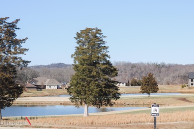 Located in the highly sought-after Tennessee National community on Tennessee National Golf Club in Tennessee - for sale on GolfHomes.com, golf home, golf lot