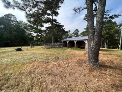 Build your dream lakeview home and bring your horses with you! on Tannenbaum Golf Club in Arkansas - for sale on GolfHomes.com, golf home, golf lot