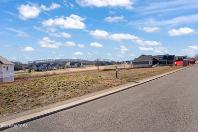 SELLER WILL ENTERTAIN OWNER FINANCING WITH ACCEPTABLE TERMS on Tennessee National Golf Club in Tennessee - for sale on GolfHomes.com, golf home, golf lot