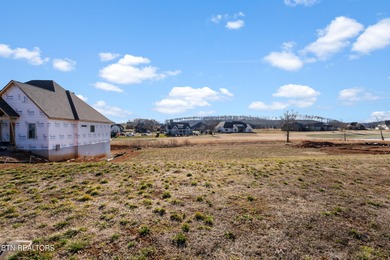 SELLER WILL ENTERTAIN OWNER FINANCING WITH ACCEPTABLE TERMS on Tennessee National Golf Club in Tennessee - for sale on GolfHomes.com, golf home, golf lot