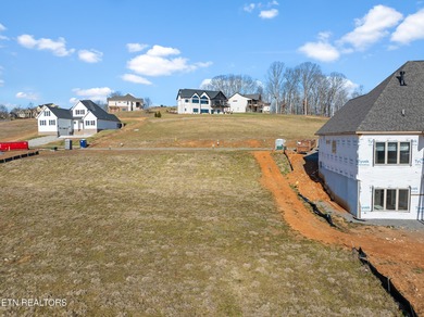 SELLER WILL ENTERTAIN OWNER FINANCING WITH ACCEPTABLE TERMS on Tennessee National Golf Club in Tennessee - for sale on GolfHomes.com, golf home, golf lot