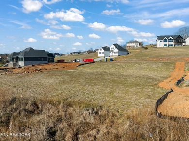 SELLER WILL ENTERTAIN OWNER FINANCING WITH ACCEPTABLE TERMS on Tennessee National Golf Club in Tennessee - for sale on GolfHomes.com, golf home, golf lot