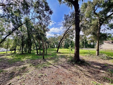 Build your private estate on 1.2 acres in the rolling hills of on Lake Jovita Golf and Country Club in Florida - for sale on GolfHomes.com, golf home, golf lot