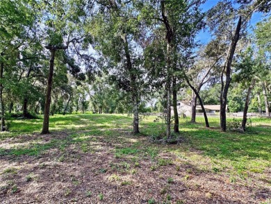 Build your private estate on 1.2 acres in the rolling hills of on Lake Jovita Golf and Country Club in Florida - for sale on GolfHomes.com, golf home, golf lot