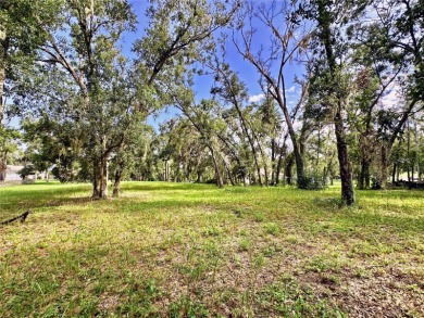 Build your private estate on 1.2 acres in the rolling hills of on Lake Jovita Golf and Country Club in Florida - for sale on GolfHomes.com, golf home, golf lot
