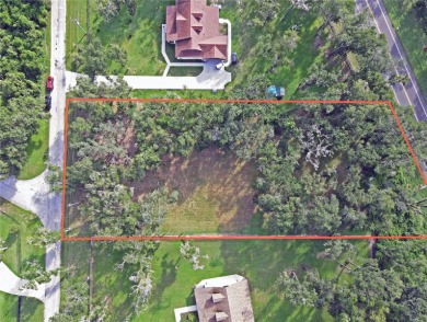 Build your private estate on 1.2 acres in the rolling hills of on Lake Jovita Golf and Country Club in Florida - for sale on GolfHomes.com, golf home, golf lot