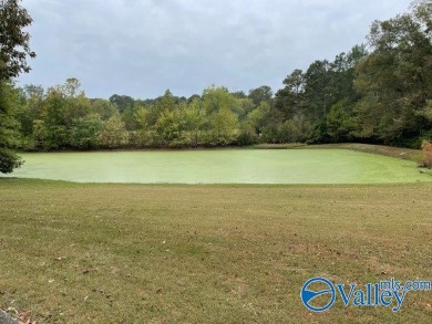 Two story brick home adjacent to Twin Lake golf course and pond on Twin Lakes Golf Course in Alabama - for sale on GolfHomes.com, golf home, golf lot