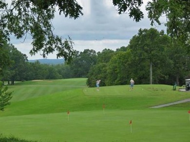 LEVEL SOUTH GOLF COURSE LOT ON THE 12TH FAIRWAY FOR BUILDING on Cherokee Village South Course in Arkansas - for sale on GolfHomes.com, golf home, golf lot