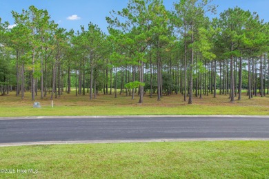 Golf front homesite in Ocean Ridge Plantation! 

If you are on Ocean Ridge Plantation in North Carolina - for sale on GolfHomes.com, golf home, golf lot