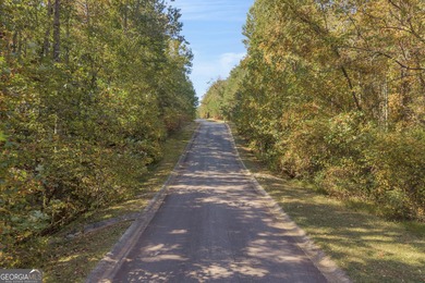 Build your dream home in the prestigious neighborhood of The on The Orchard Golf and Country Club in Georgia - for sale on GolfHomes.com, golf home, golf lot