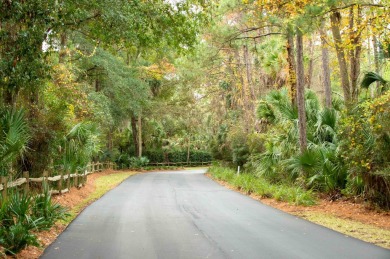 Nestled on Kiawah's serene northwestern tip, 177 Bull Thistle, a on Kiawah Island Resort - Cougar Point in South Carolina - for sale on GolfHomes.com, golf home, golf lot