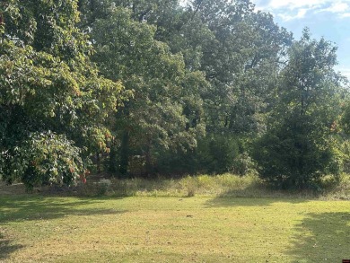 This spacious residential lot features 100 feet of frontage on on The Course At Turkey Mountain in Arkansas - for sale on GolfHomes.com, golf home, golf lot