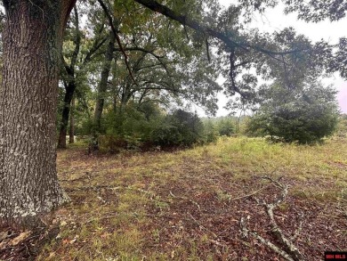 This spacious residential lot features 100 feet of frontage on on The Course At Turkey Mountain in Arkansas - for sale on GolfHomes.com, golf home, golf lot