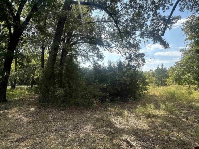 This spacious residential lot features 100 feet of frontage on on The Course At Turkey Mountain in Arkansas - for sale on GolfHomes.com, golf home, golf lot