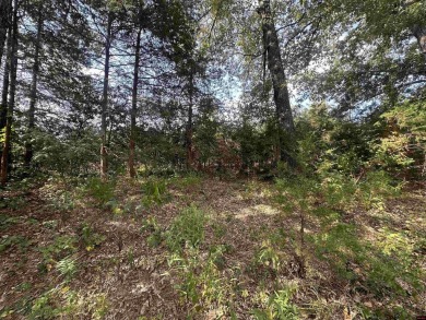 This spacious residential lot features 100 feet of frontage on on The Course At Turkey Mountain in Arkansas - for sale on GolfHomes.com, golf home, golf lot