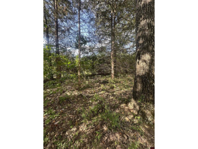 This spacious residential lot features 100 feet of frontage on on The Course At Turkey Mountain in Arkansas - for sale on GolfHomes.com, golf home, golf lot