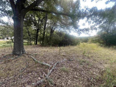 This spacious residential lot features 100 feet of frontage on on The Course At Turkey Mountain in Arkansas - for sale on GolfHomes.com, golf home, golf lot