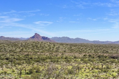 MILLION DOLLAR VIEWS from every room! If you like privacy, this on Eagle Mountain Golf Club in Arizona - for sale on GolfHomes.com, golf home, golf lot