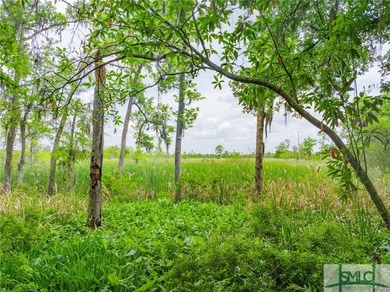 Rare Double Lot on the Marina within the Ford Field & River on The Ford Field and River Club  in Georgia - for sale on GolfHomes.com, golf home, golf lot