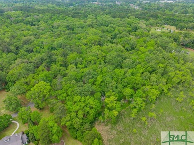 Rare Double Lot on the Marina within the Ford Field & River on The Ford Field and River Club  in Georgia - for sale on GolfHomes.com, golf home, golf lot