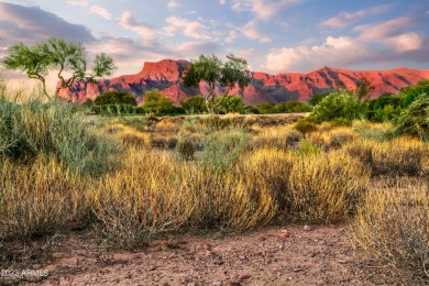 LOWEST PRICE LOT IN SUPERSTITION MOUNTAIN! CUSTOM HOMESITE.  NO on Superstition Mountain Club - Lost Gold in Arizona - for sale on GolfHomes.com, golf home, golf lot