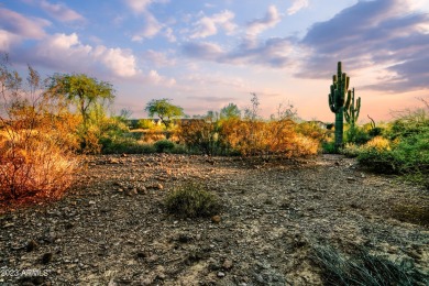 LOWEST PRICE LOT IN SUPERSTITION MOUNTAIN! CUSTOM HOMESITE.  NO on Superstition Mountain Club - Lost Gold in Arizona - for sale on GolfHomes.com, golf home, golf lot