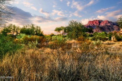 LOWEST PRICE LOT IN SUPERSTITION MOUNTAIN! CUSTOM HOMESITE.  NO on Superstition Mountain Club - Lost Gold in Arizona - for sale on GolfHomes.com, golf home, golf lot