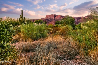 LOWEST PRICE LOT IN SUPERSTITION MOUNTAIN! CUSTOM HOMESITE.  NO on Superstition Mountain Club - Lost Gold in Arizona - for sale on GolfHomes.com, golf home, golf lot