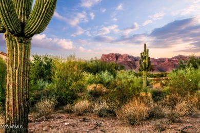 LOWEST PRICE LOT IN SUPERSTITION MOUNTAIN! CUSTOM HOMESITE.  NO on Superstition Mountain Club - Lost Gold in Arizona - for sale on GolfHomes.com, golf home, golf lot