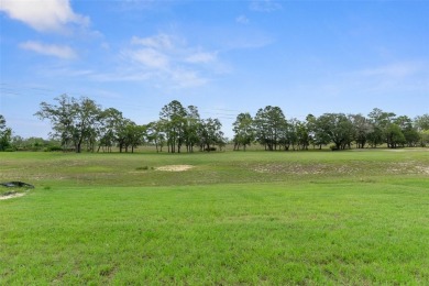 One or more photo(s) has been virtually staged. Brand New Luxury on Southern Woods Golf Club in Florida - for sale on GolfHomes.com, golf home, golf lot