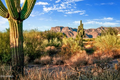 LOWEST PRICE LOT IN SUPERSTITION MOUNTAIN! CUSTOM HOMESITE.  NO on Superstition Mountain Club - Lost Gold in Arizona - for sale on GolfHomes.com, golf home, golf lot