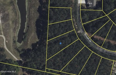 Welcome to your dream home, a stunning new construction by local on Woodlake Country Club in North Carolina - for sale on GolfHomes.com, golf home, golf lot