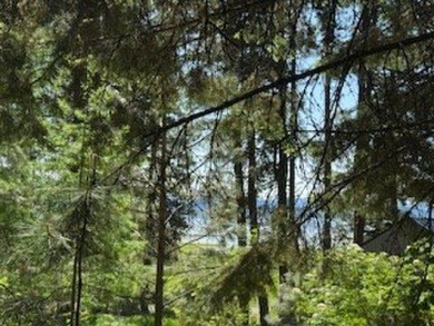 Beautiful Timbered lot 4.1 acre wooded parcel that offers a on Osprey Meadows at Tamarack Resort in Idaho - for sale on GolfHomes.com, golf home, golf lot