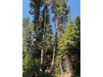 Beautiful Timbered lot 4.1 acre wooded parcel that offers a on Osprey Meadows at Tamarack Resort in Idaho - for sale on GolfHomes.com, golf home, golf lot