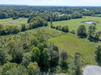 LOCATION, LOCATION, LOCATION! BUILT TO SUIT! Build your dream on Southern Hills Golf and Country Club in Tennessee - for sale on GolfHomes.com, golf home, golf lot