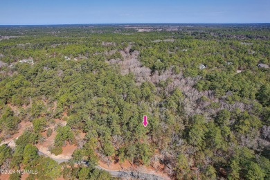 Magnificent Custom Home Site awaits your stunning CHARLESTON on Lockwood Folly Country Club in North Carolina - for sale on GolfHomes.com, golf home, golf lot