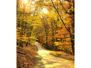 Very secluded 1.5 acre lot on 3 wooded parcels in Hide-A-Way on Hide-A-Way Hills Golf Club in Ohio - for sale on GolfHomes.com, golf home, golf lot