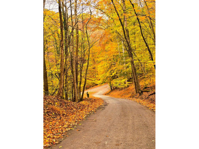 Very secluded 1.5 acre lot on 3 wooded parcels in Hide-A-Way on Hide-A-Way Hills Golf Club in Ohio - for sale on GolfHomes.com, golf home, golf lot