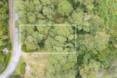 Great opportunities abound for this .46 acre lot in Barnes Bluff on South Harbour Golf Links in North Carolina - for sale on GolfHomes.com, golf home, golf lot