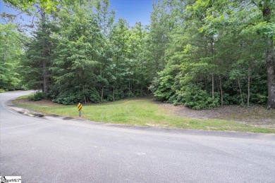 Listing Presented by Dina Elm Berkshire Hathaway C. Dan Joyner on The Cliffs Valley Golf Course in South Carolina - for sale on GolfHomes.com, golf home, golf lot