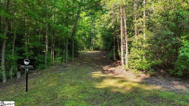 Listing Presented by Dina Elm Berkshire Hathaway C. Dan Joyner on The Cliffs Valley Golf Course in South Carolina - for sale on GolfHomes.com, golf home, golf lot